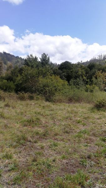 Hermosos terrenos rurales. Saneados.